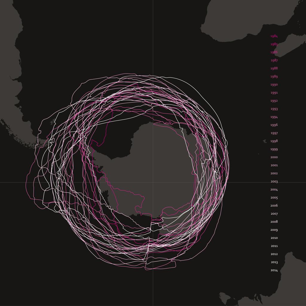 This artwork represents 30 years of data showing the extent of the Antarctic Ozone Hole and its changing position over the South Pole. 30th Anniversary of the Discovery of Ozone Hole